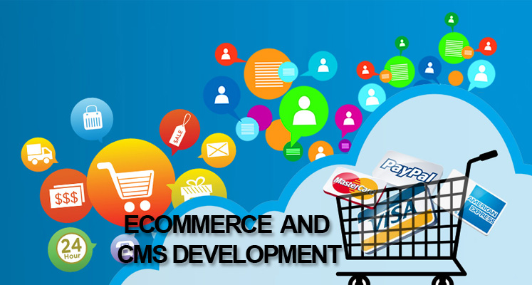 eCOMMERCE and CMS Development Company in Delhi India